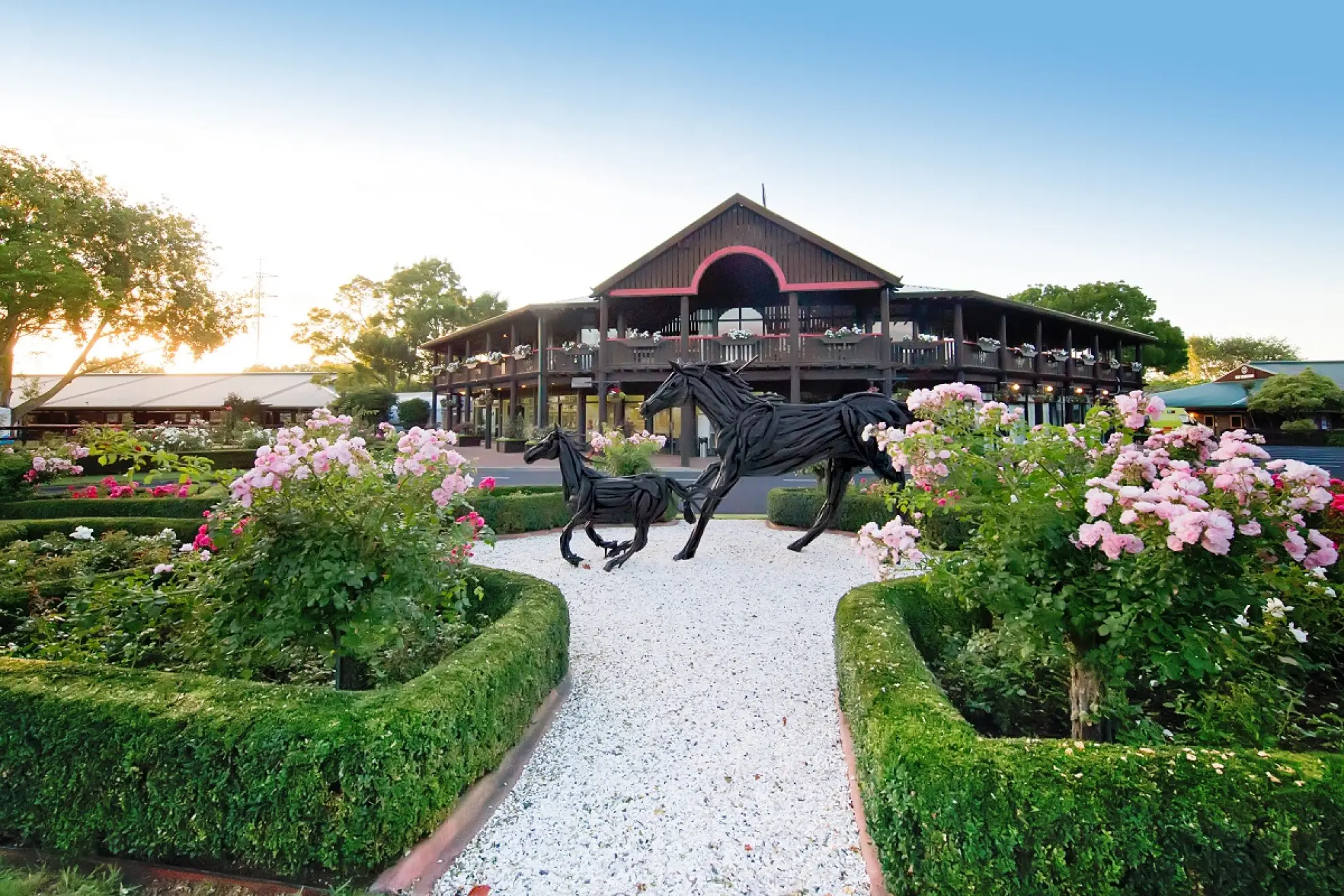 Successful NZB Breeze Ups Completed at Te Rapa | New Zealand Bloodstock ...