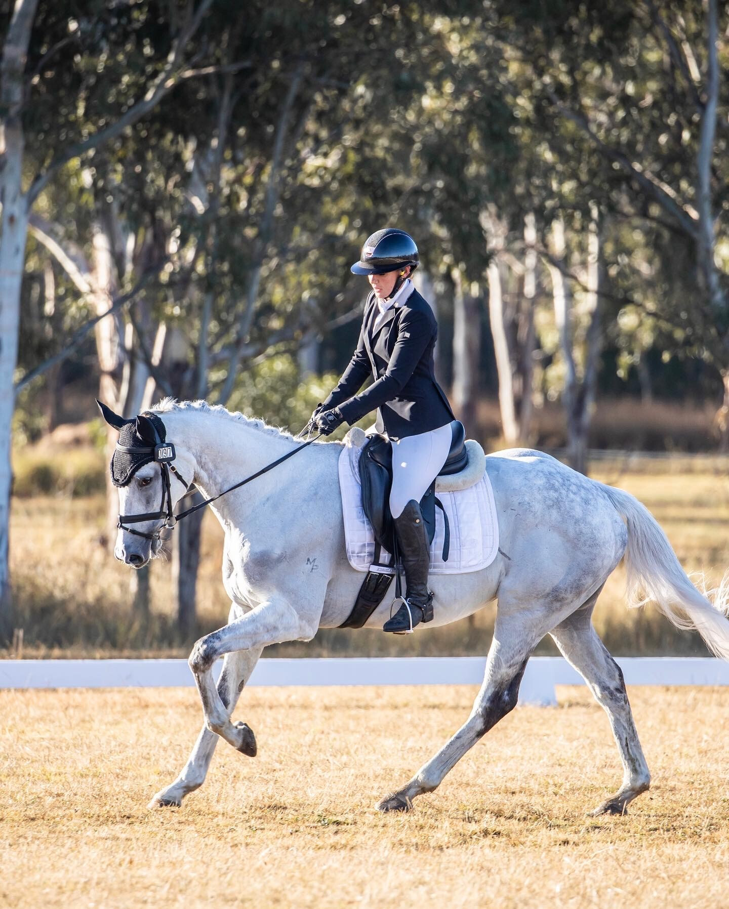 Trackman OTTB