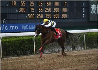 Best of Luck leading the field in the Listed Sand Specialist Stakes. Photo: Macau Jockey Club