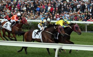 Werther (NZ) and Victory Magic (NZ) race towards the finish line of Hong Kong Derby. Photo Credit: NZ Racing Desk.