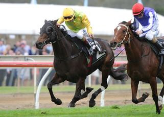 Amexed (NZ) winning the Caloundra Cup.