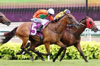 Sgp-3 El Dorado Classic win for Ready to Run Sale Graduate Bahana (NZ). Photo: Singapore Turf Club.