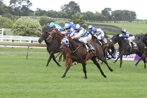 Banchee_30-01-2011_WIN_Ellerslie_3__148