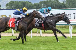 Batman (NZ) wins the Mosgiel Stakes. Photo: Wild Range Photography