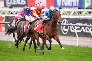 Crosshaven claims the Listed Exford Pate (1400m). Photo: Racing Photos.