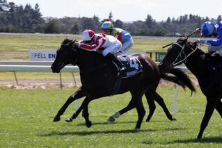 Global Thinking winning at Ruakaka. Photo credit: Trish Dunell