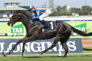 Music Magnate (NZ) Strikes Again in Brisbane. Photo: Racing & Sports.