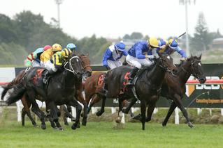 Santa Catarina (NZ), who could have been bought for $80,000, adds valuable blacktype to her name.