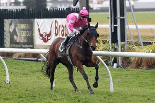 Jochen Rindt (NZ) wins the Listed Taumaranui Gold Cup. Photo Credit: Trish Dunell.