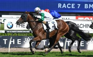 Jon Snow (NZ) Continues Karaka Graduates’ Australian Derby Dominance. 