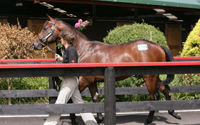 Lot-1361