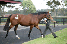 Lot-636