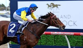 Black Heart Bart winning the NZB Memsie Stakes