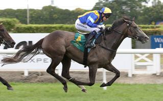 Mime wins the Group 2 Sir Tristram Fillies' Classic in February.