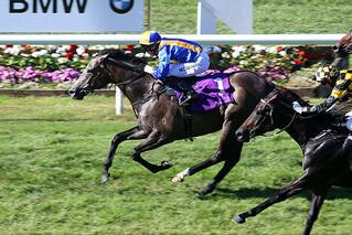 Michael Coleman rides Mime in a tough race to win in the Gr. 3 Sunline Vase