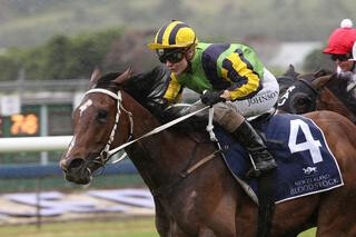 Sofia Rosa heading the field for the Lowland Stakes