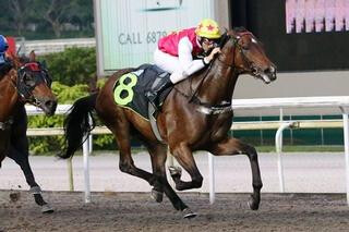 Soonbaby (NZ) (Redwood) pictured winning on debut last season in Singapore.