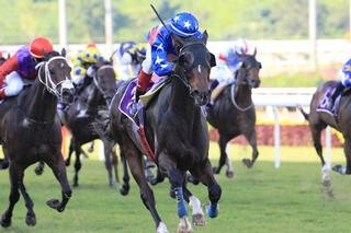 Titanium takes out the Sgp-2 Stewards' Cup. Photo courtesy of Singapore Turf Club