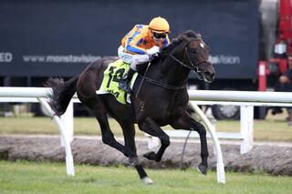 Champion Three-Year-Old: Te Akau Racing’s Xtravagant. Photo Credit: Trish Dunell.