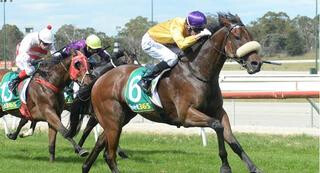 Hazzabeel (NZ) Claims Kilmore Cup. Photo: Racing Images.