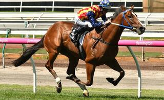 All-the-way Win For Theanswermyfriend. Photo: Racing Photos.